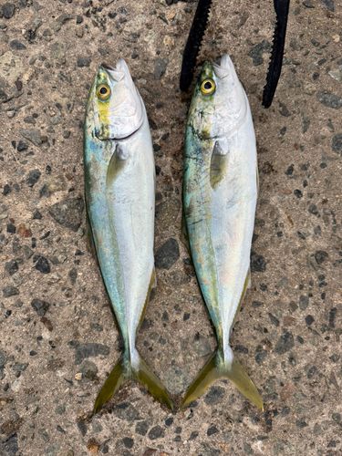 浜田港（島根）