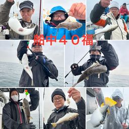 ショウサイフグ