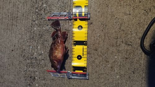 金沢水際線緑地（福浦岸壁）