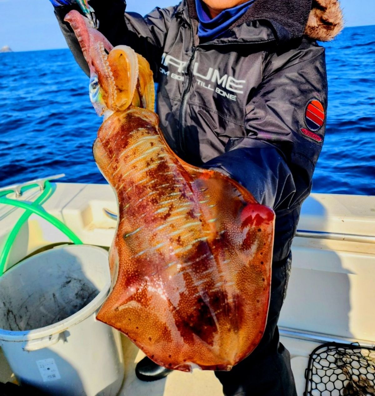 カンゼイさんの釣果 2枚目の画像