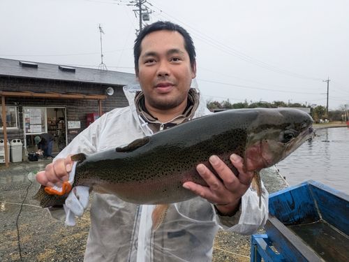 ニジマスの釣果