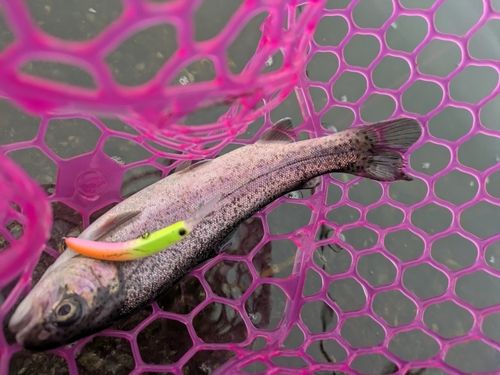 浜名湖フィッシングリゾート