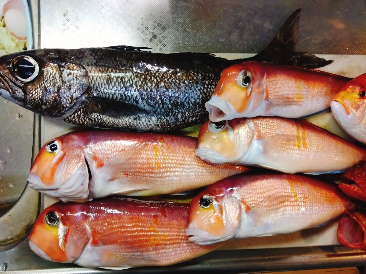 ルアーで釣りたいマン1010さんの釣果 1枚目の画像