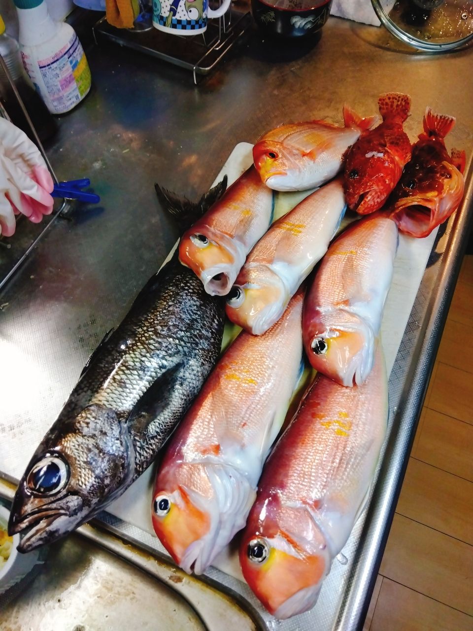 ルアーで釣りたいマン1010さんの釣果 2枚目の画像