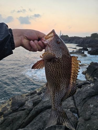 長崎鼻（薩摩）