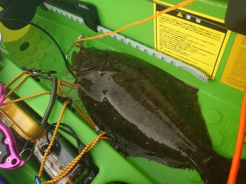 東京湾（富津〜金谷）