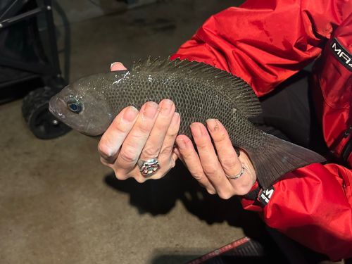 金沢水際線緑地（福浦岸壁）