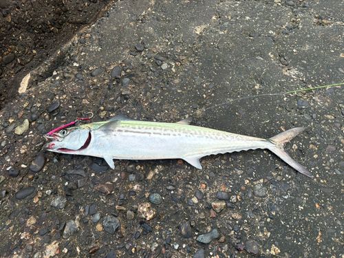 日和山浜海水浴場
