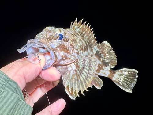 神戸空港親水護岸