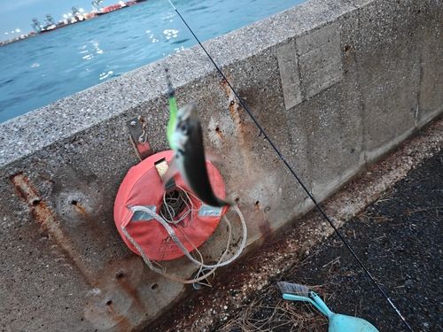 城南島海浜公園