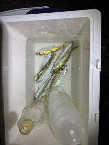 泉佐野食品コンビナート