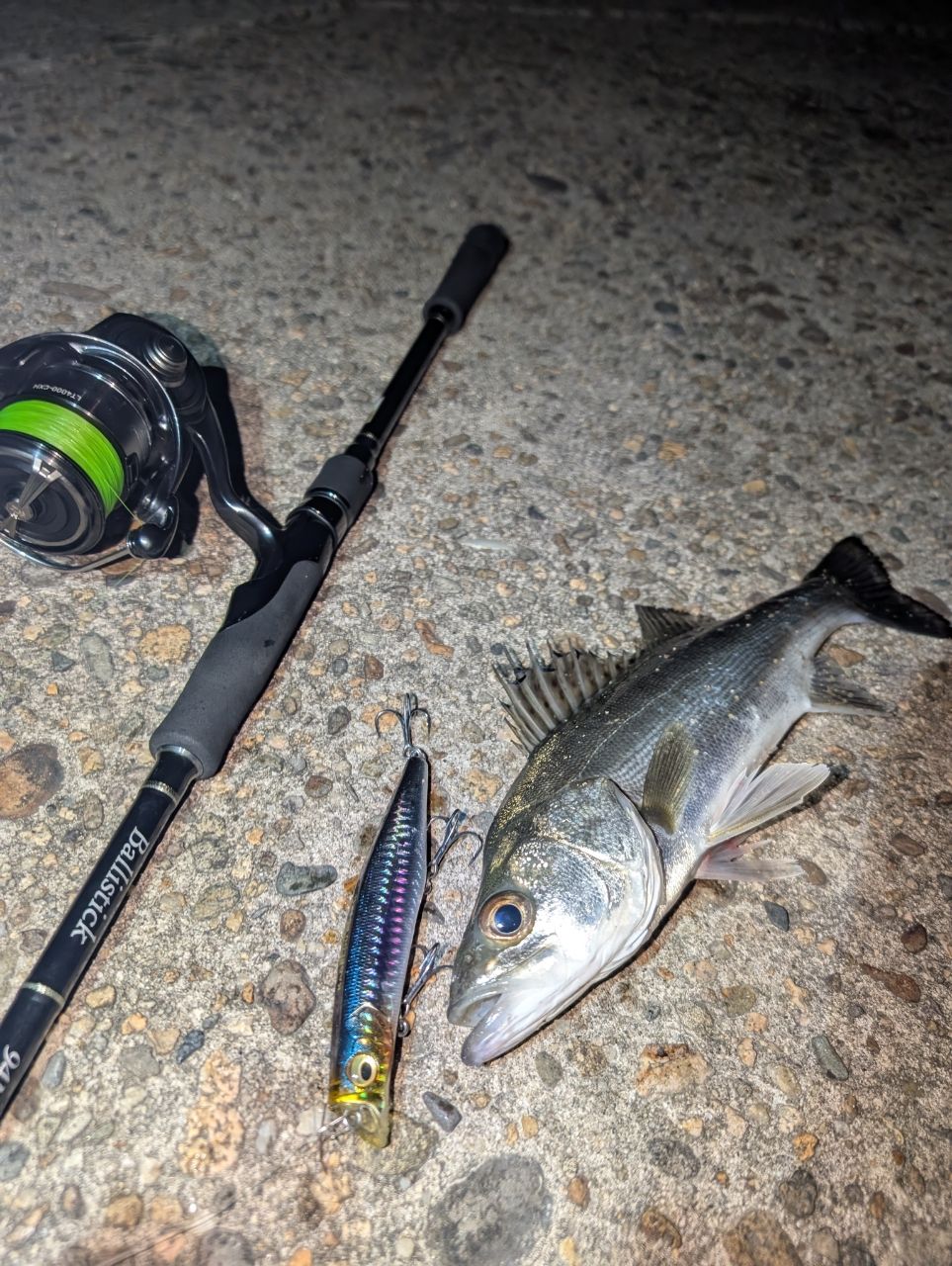 YAMAGA Blanks バリスティック TZ ナノ 94Mの最安値・インプレ・釣果