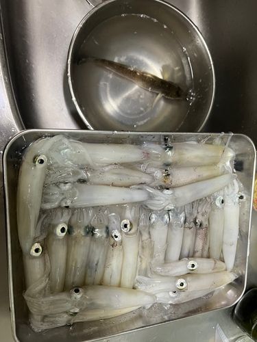 千葉港中央埠頭