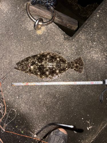 五十鈴川河口（伊勢）