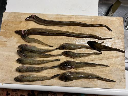 一色さかな広場前