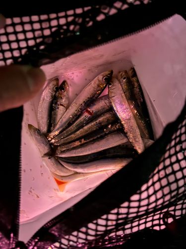 小名浜港アクアマリンふくしま周辺