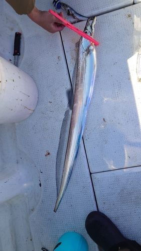 周防大島（屋代島）