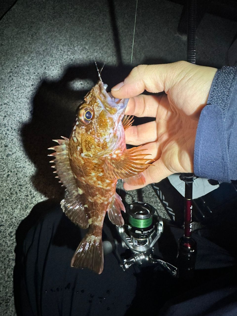 DAIWA 23月下美人 AIR 68L-T・Wの最安値・インプレ・釣果 | 本音の