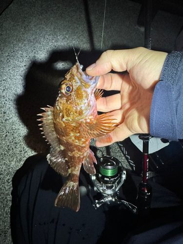 ベイサイドビーチ坂