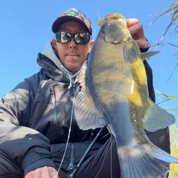 スモールマウスバス