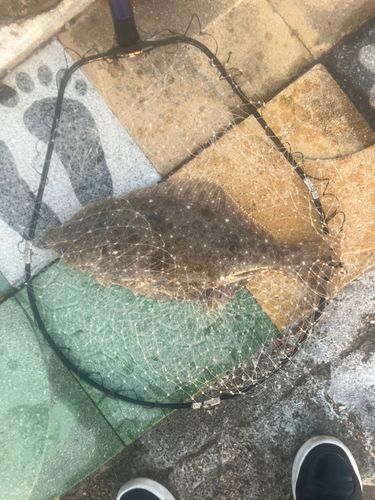 新舞子海岸（いわき）