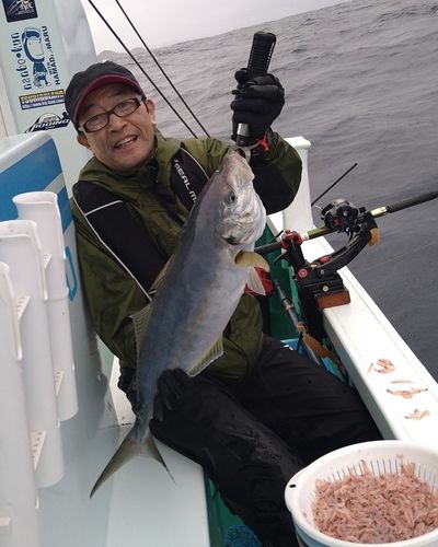 シマアジの釣果