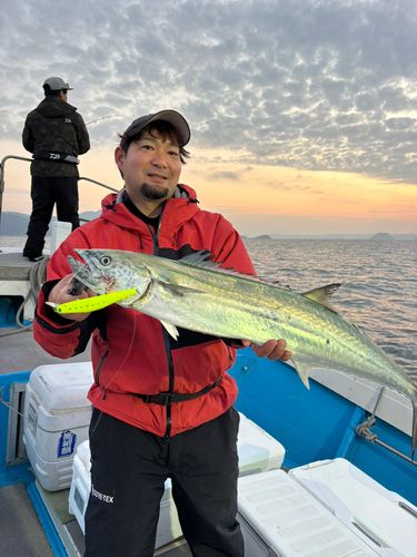 サワラの釣果
