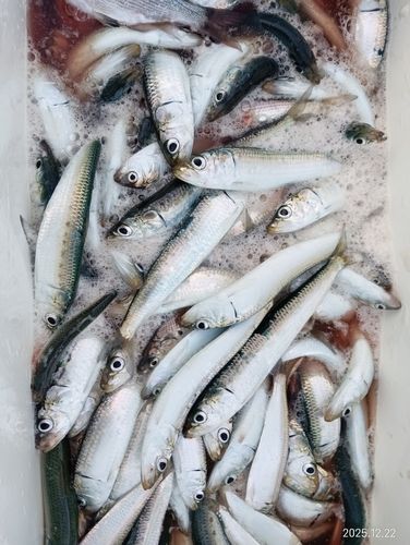 小名浜港アクアマリンふくしま周辺