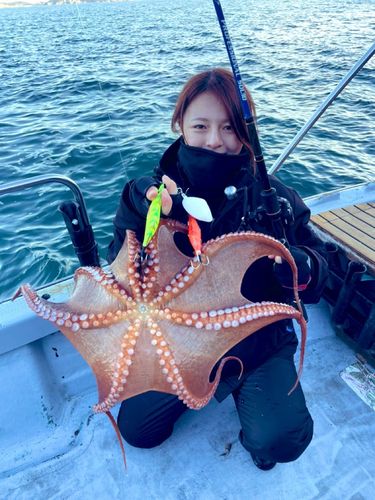 タコの釣果