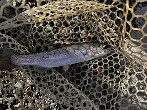 鬼怒川フィッシングエリア