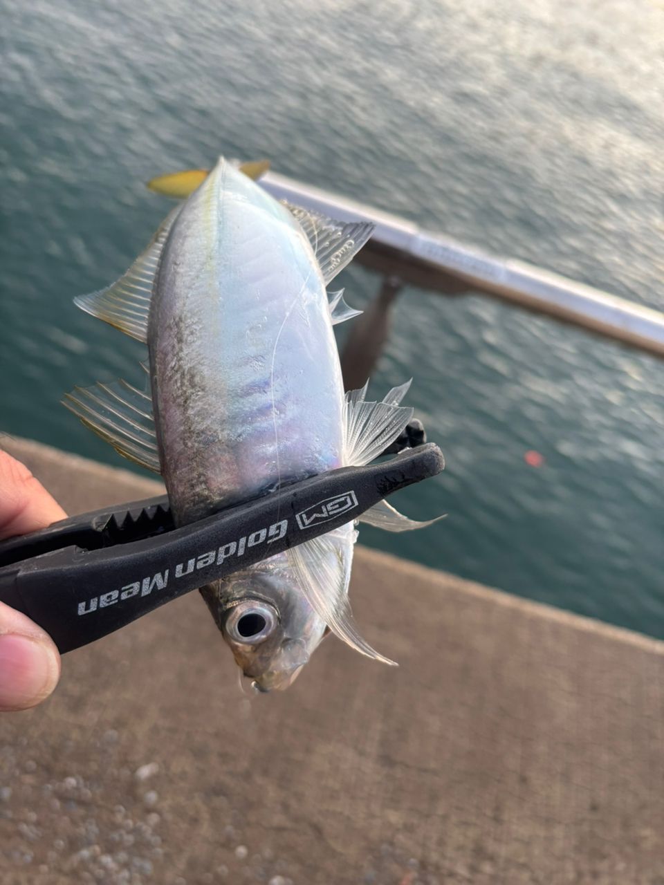 TENRYU ルナキア LK582S-LSの最安値・インプレ・釣果 | 本音の口コミが