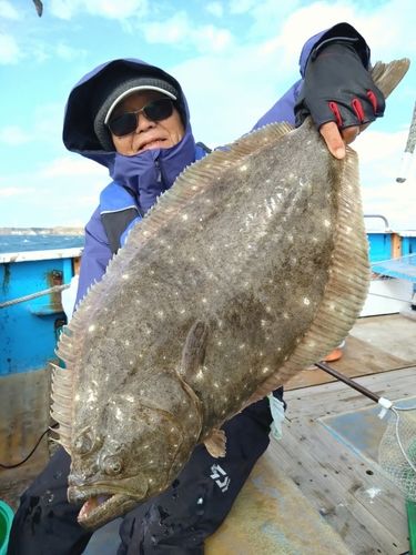 ヒラメの釣果
