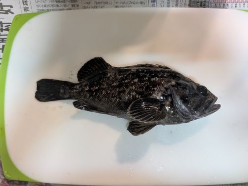 一万トン岸壁（八戸）