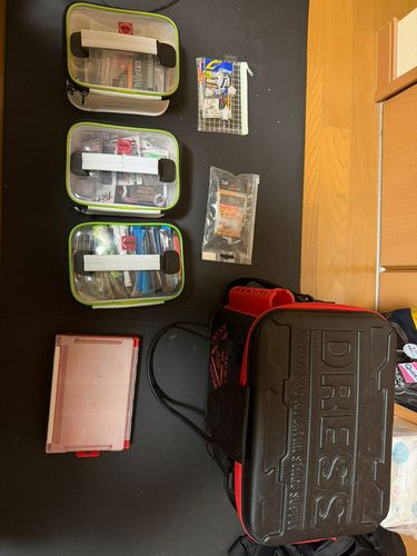 アイナメの釣果