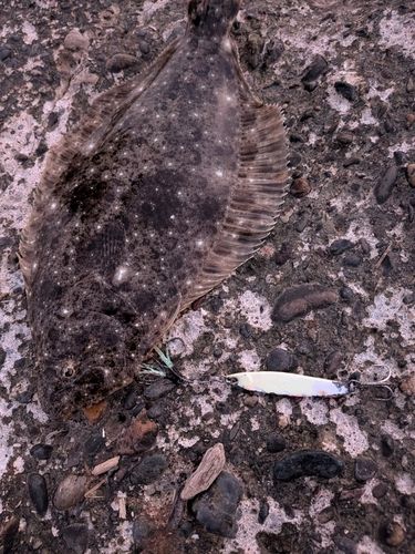 新舞子海岸（富津）