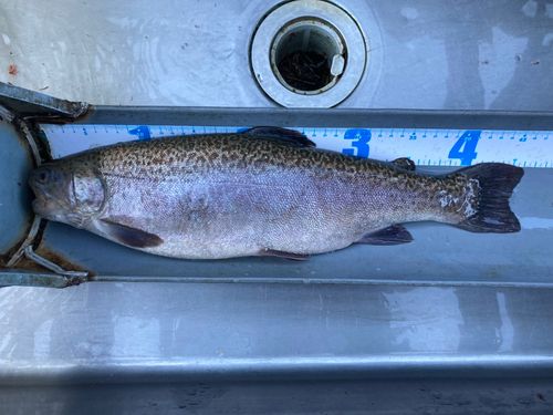 フィッシングキャンプエリア瑞浪