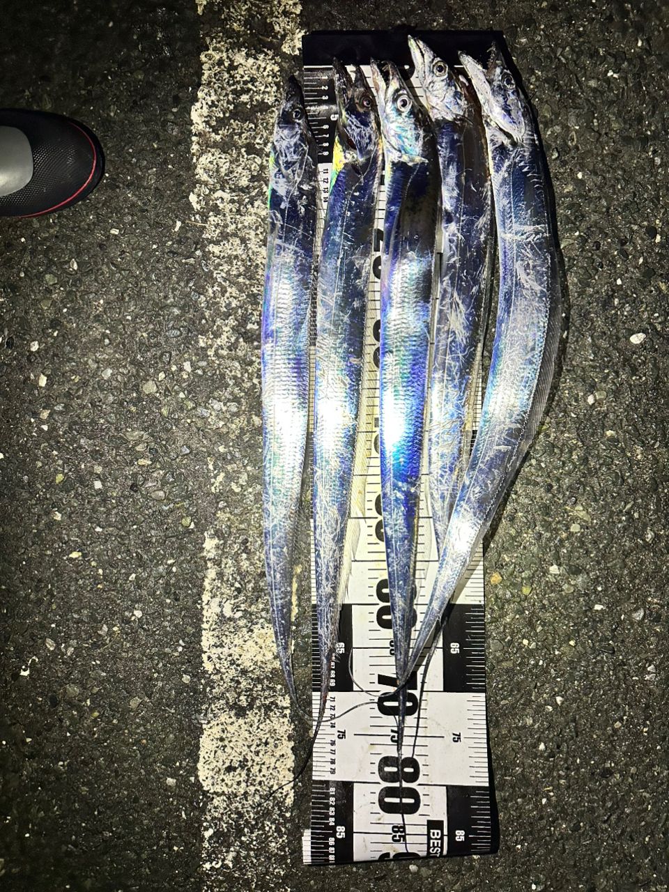 SHIMANO 20ネッサ エクスチューン S106MHの最安値・インプレ・釣果