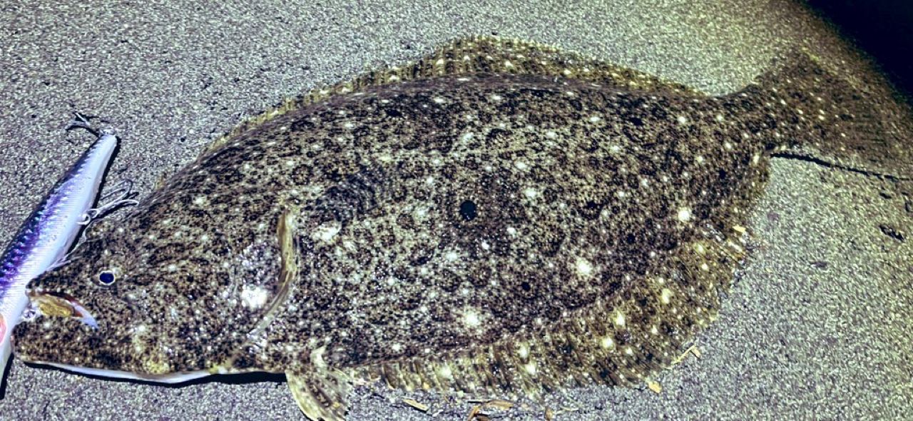 ジークラフト　セブンセンス　MONSTER SURF MSS-1072-TR Gクラフト】 セブンセンスTR モンスターサーフ MSS-1072-TR G-CRAFT