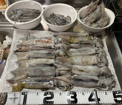 三陸海岸（岩手）