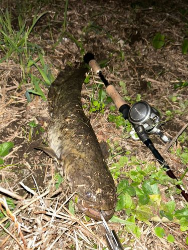 水と緑と風広場前