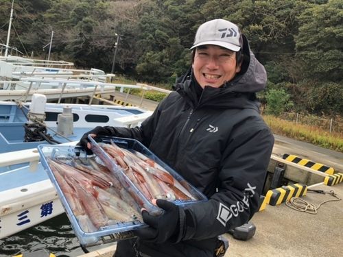 ヤリイカの釣果