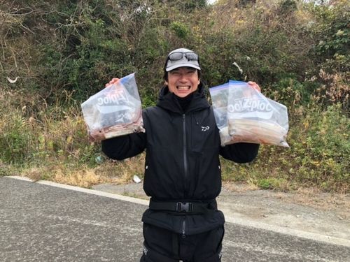 ヤリイカの釣果