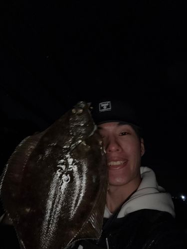 千葉港中央埠頭