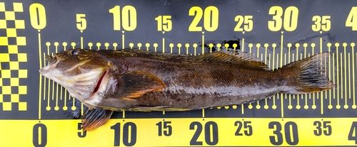 三陸海岸（宮城）