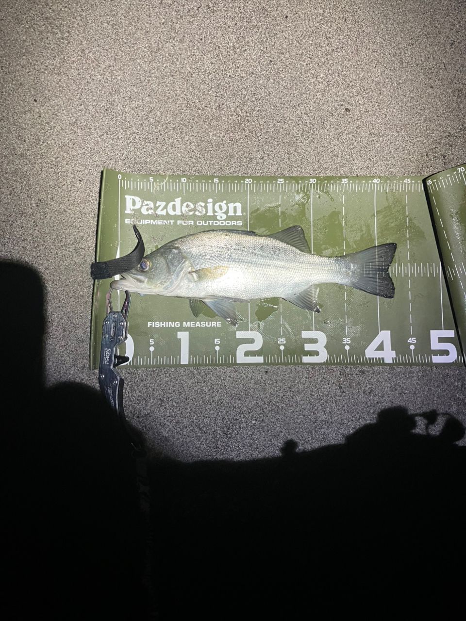 SHIMANO 22ネッサXR S110M/MHの最安値・インプレ・釣果 | 本音の口コミ