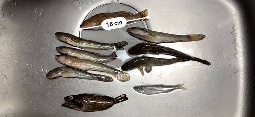 小樽港厩町岸壁