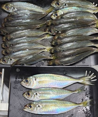 泉佐野食品コンビナート