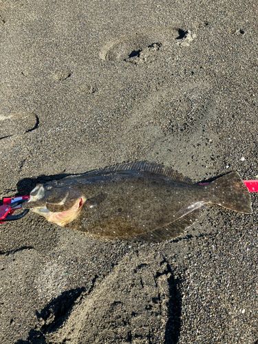 辻堂海浜公園前