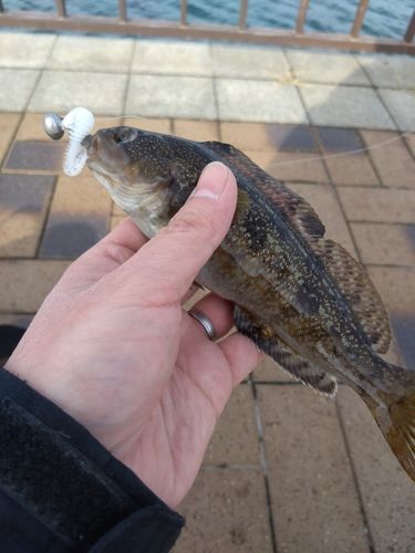 三陸海岸（青森）