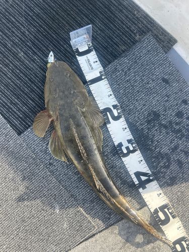 松前港（愛媛）